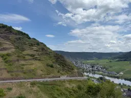 Bosgrond 370 m² in Cochem - Duitsland