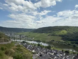 Bosgrond 370 m² in Cochem - Duitsland