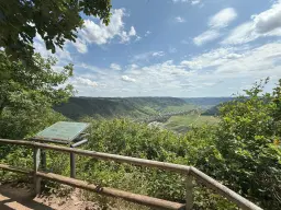 Bosgrond 370 m² in Cochem - Duitsland