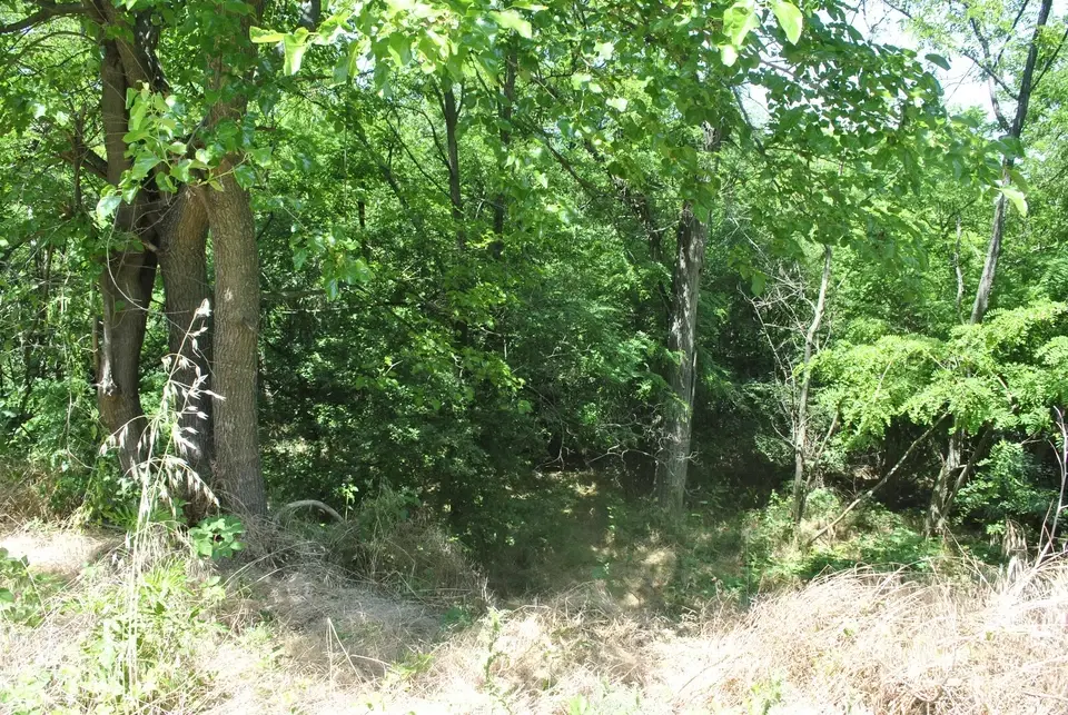 Bosgrond 71.985 m² in Vasilyovo, Lovech - Bulgarije