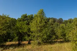 6.100 m² Bosgrond - Kula, Shipikova Mahala - Bulgarije