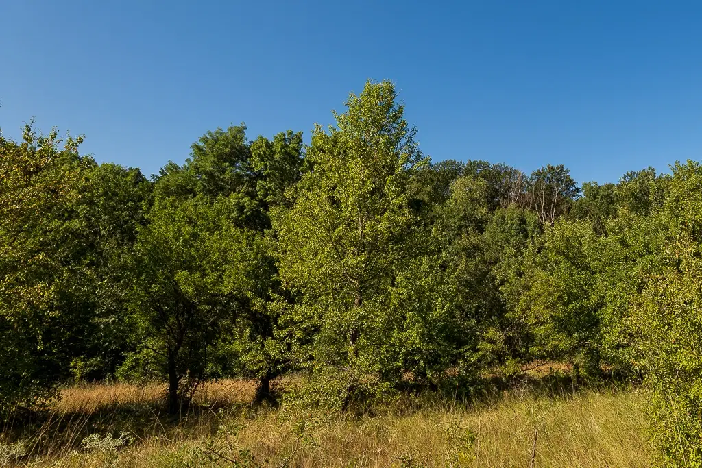 6.100 m² Bosgrond - Kula, Shipikova Mahala - Bulgarije