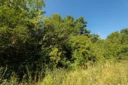 6.100 m² Bosgrond - Kula, Shipikova Mahala - Bulgarije