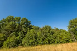 6.100 m² Bosgrond - Kula, Shipikova Mahala - Bulgarije