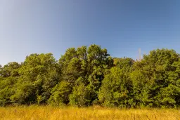 6.100 m² Bosgrond - Kula, Shipikova Mahala - Bulgarije