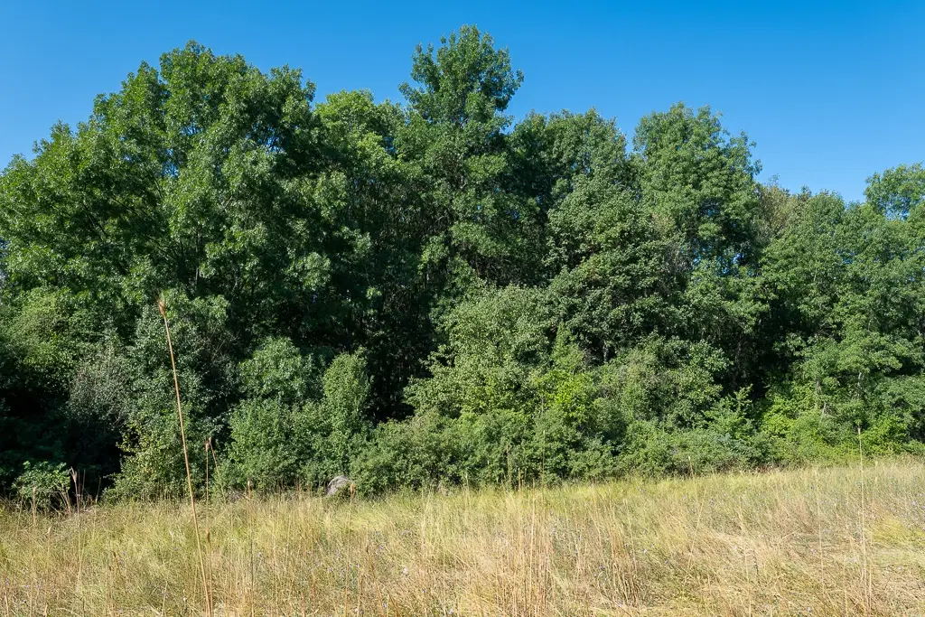 6.100 m² Bosgrond - Kula, Shipikova Mahala - Bulgarije