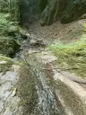 370 m² bosgrond in Cochem - Duitsland