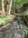 370 m² bosgrond in Cochem - Duitsland