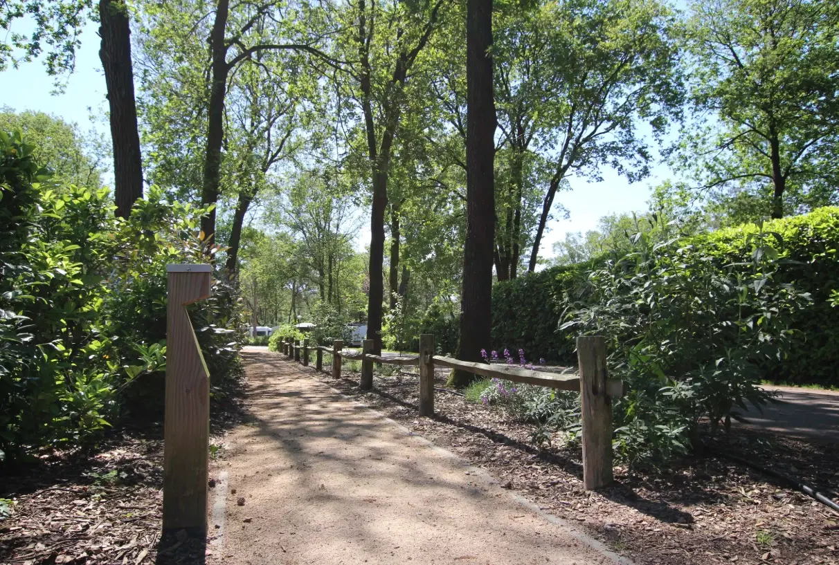 13 percelen grond gelegen op Resort De Heimolen te Baarle-Nassau