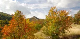 6.513 m² bosgrond in de regio Belogradchik - Bulgarije