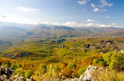 6.513 m² bosgrond in de regio Belogradchik - Bulgarije