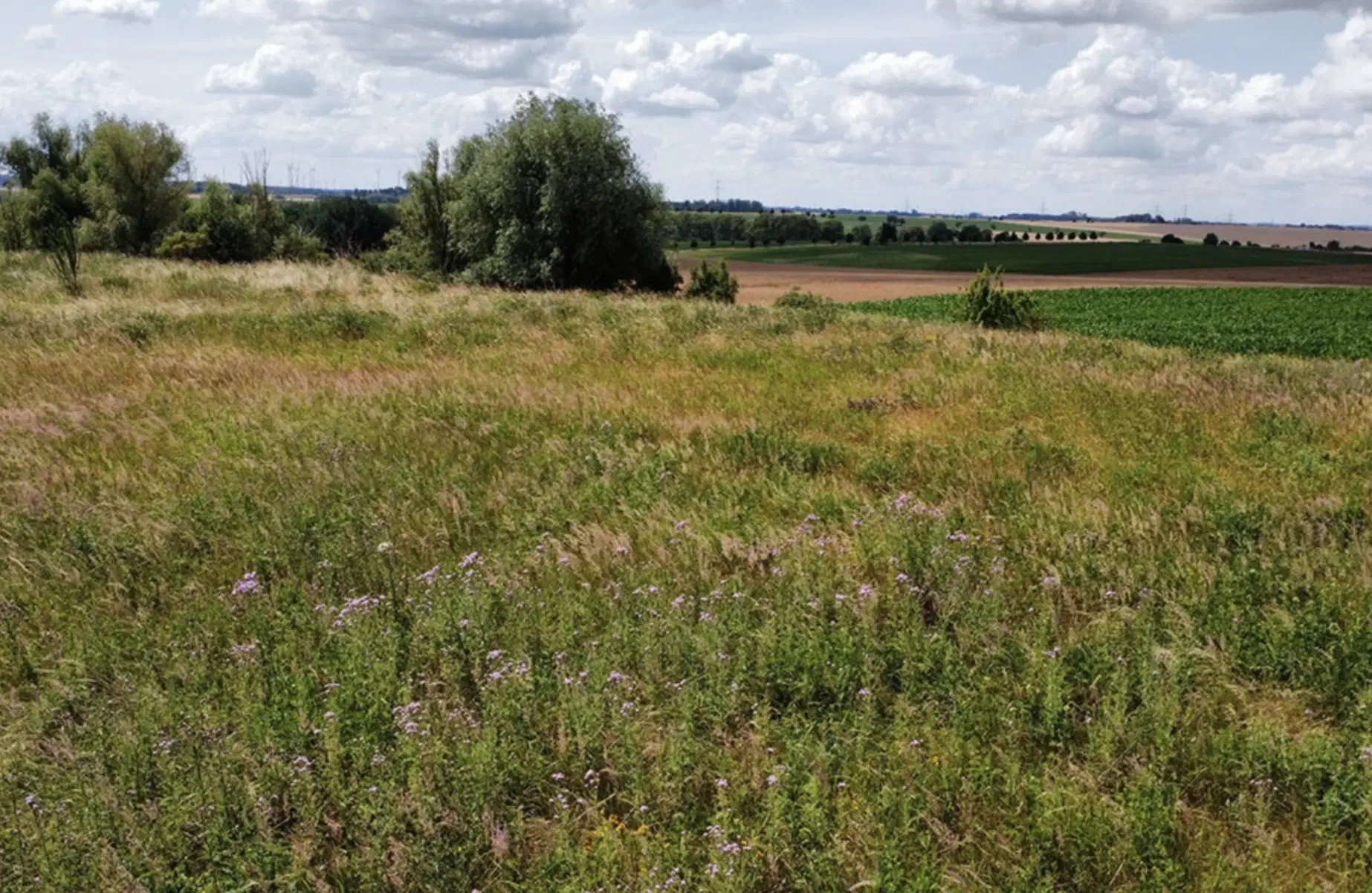 Eigendomsperceel van ca. 2.3 ha in Emden - Duitsland