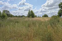 Eigendomsperceel van ca. 2.3 ha in Emden - Duitsland