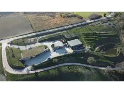 Boerderij in Cartoceto (PU) met kelder, olijfgaarden en land
