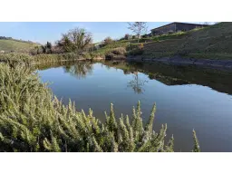 Boerderij in Cartoceto (PU) met kelder, olijfgaarden en land
