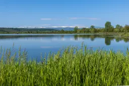Bos 6.347 m² met uitzicht op het meer + toegang via geasfalteerde weg in de regio Montana - Bulgarije