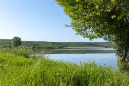 Bos 6.347 m² met uitzicht op het meer + toegang via geasfalteerde weg in de regio Montana - Bulgarije