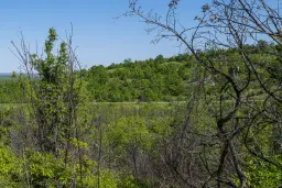 Bos 6.347 m² met uitzicht op het meer + toegang via geasfalteerde weg in de regio Montana - Bulgarije