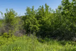 Bos 6.347 m² met uitzicht op het meer + toegang via geasfalteerde weg in de regio Montana - Bulgarije