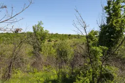 Bos 6.347 m² met uitzicht op het meer + toegang via geasfalteerde weg in de regio Montana - Bulgarije