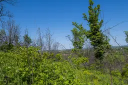 Bos 6.347 m² met uitzicht op het meer + toegang via geasfalteerde weg in de regio Montana - Bulgarije