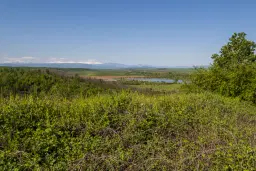 Bos 6.347 m² met uitzicht op het meer + toegang via geasfalteerde weg in de regio Montana - Bulgarije