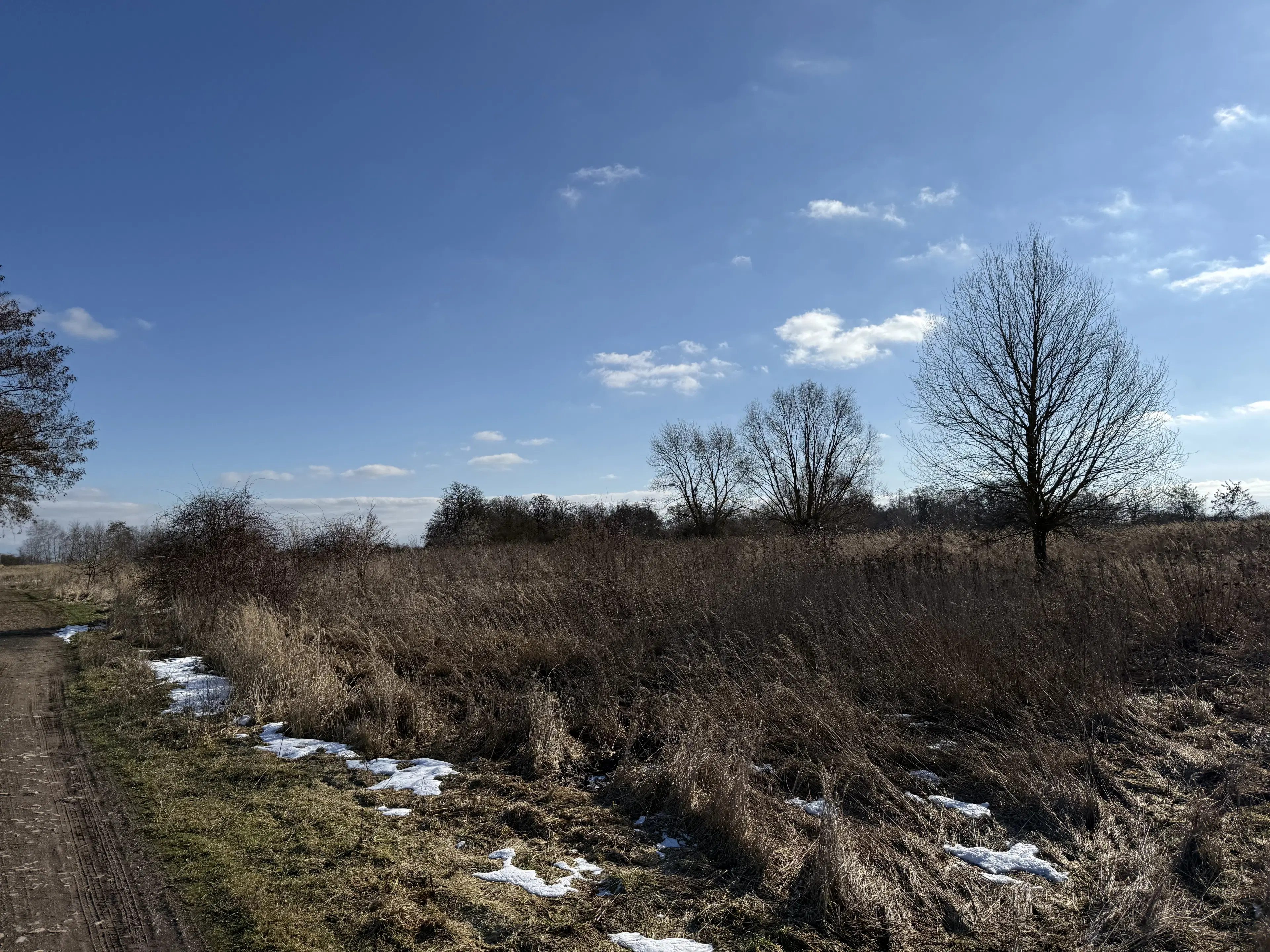 7.234 m² eigendomsterrein in Emden - Duitsland