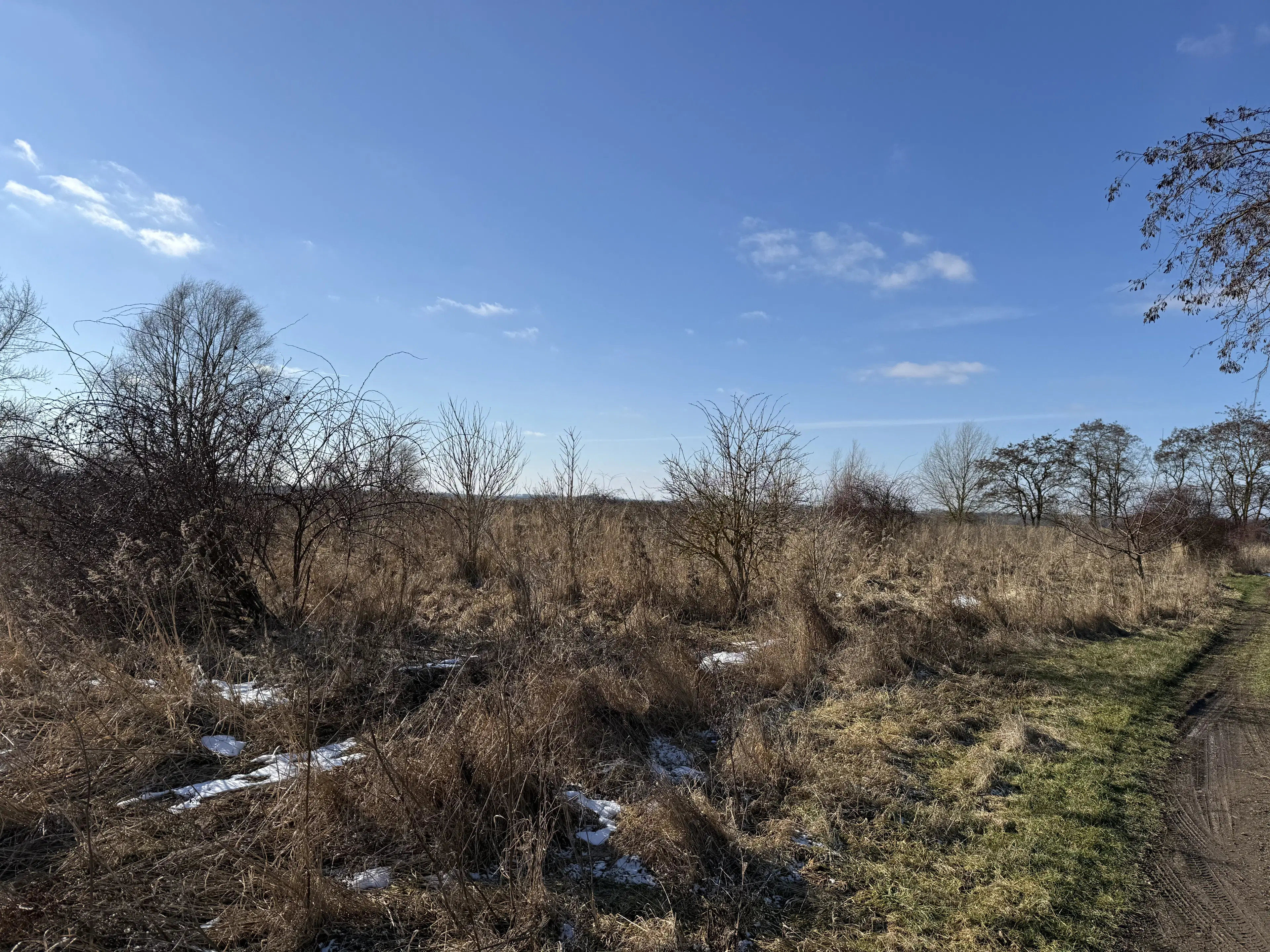 7.234 m² eigendomsterrein in Emden - Duitsland