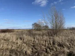 7.234 m² eigendomsterrein in Emden - Duitsland