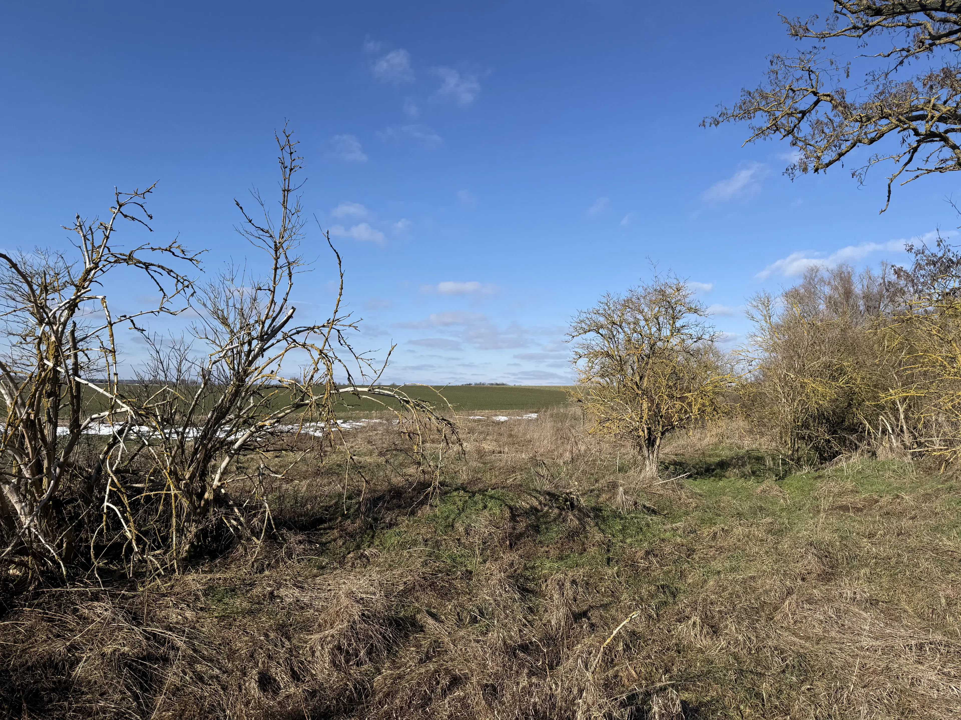 1.120 m² eigendomsperceel in Emden - Duitsland