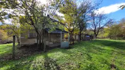 Pand in Staropatitsa, Vidin - Bulgarije