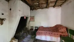 Pand in Staropatitsa, Vidin - Bulgarije