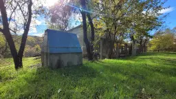Pand in Staropatitsa, Vidin - Bulgarije
