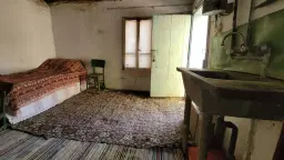 Pand in Staropatitsa, Vidin - Bulgarije