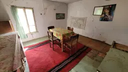 Pand in Staropatitsa, Vidin - Bulgarije