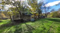 Pand in Staropatitsa, Vidin - Bulgarije