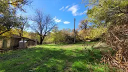 Pand in Staropatitsa, Vidin - Bulgarije