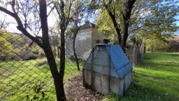 Pand in Staropatitsa, Vidin - Bulgarije