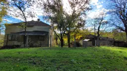 Pand in Staropatitsa, Vidin - Bulgarije