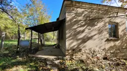 Pand in Staropatitsa, Vidin - Bulgarije
