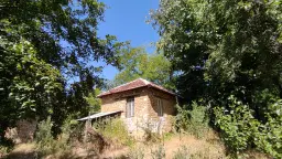 Pand in Staropatitsa, Vidin - Bulgarije