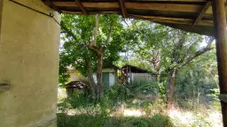 Pand in Staropatitsa, Vidin - Bulgarije