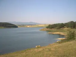 Pand in Staropatitsa, Vidin - Bulgarije
