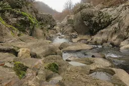 Loofbos 113.324 m² in Gorno Ozirovo, Varshets Montana - Bulgarije