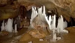 Loofbos 113.324 m² in Gorno Ozirovo, Varshets Montana - Bulgarije