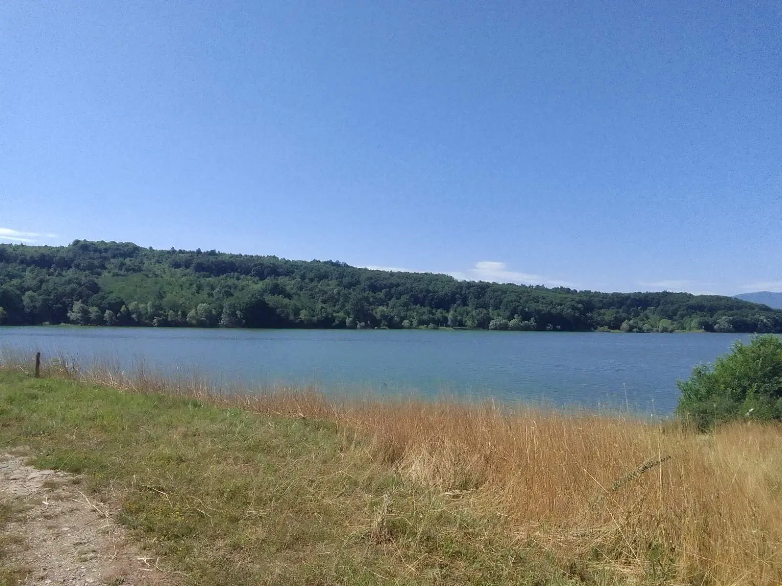 Landbouwgrond in Tolovitsa, regio Vidin - Bulgarije