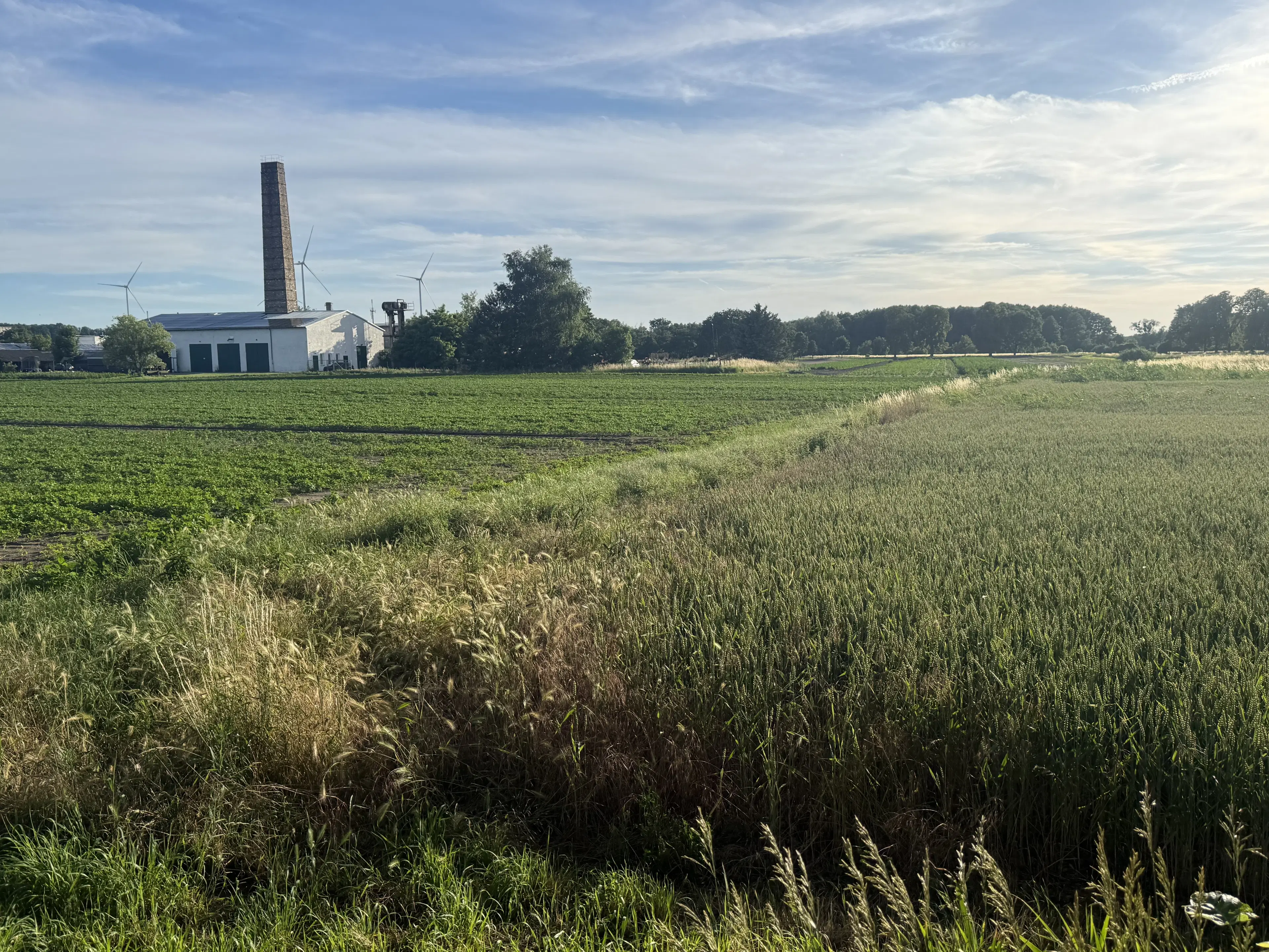 Eigendomsperceel van 600 m² in Gusow, Brandenburg - Duitsland