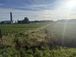 Eigendomsperceel van 600 m² in Gusow, Brandenburg - Duitsland