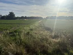Eigendomsperceel van 600 m² in Gusow, Brandenburg - Duitsland