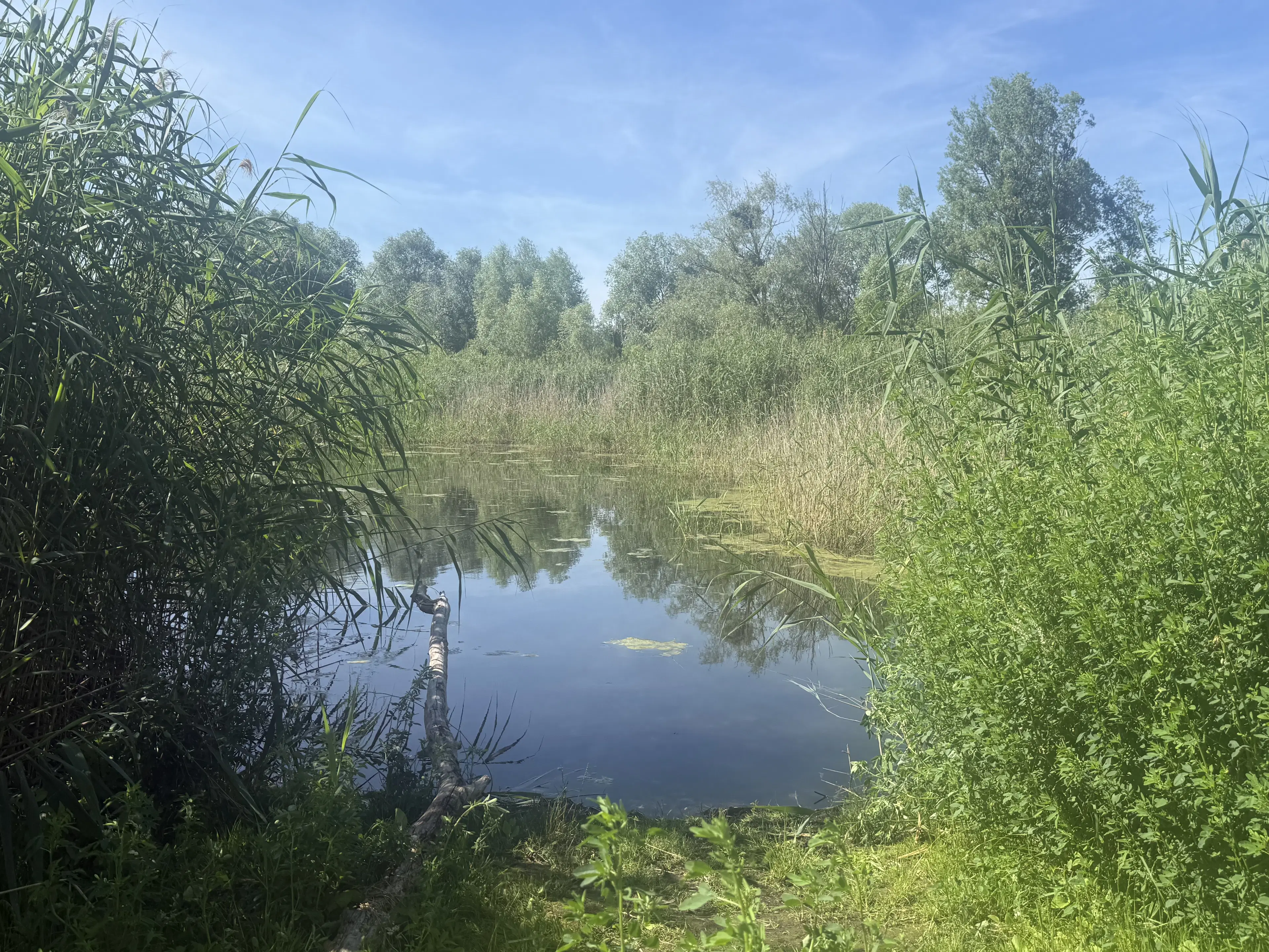 Perceel aan het water nabij Schwedt/Oder - Duitsland